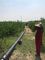 40 mm 50 mm ländliches Polyrohr-Wasserversorgungs-Bewässerungssystem